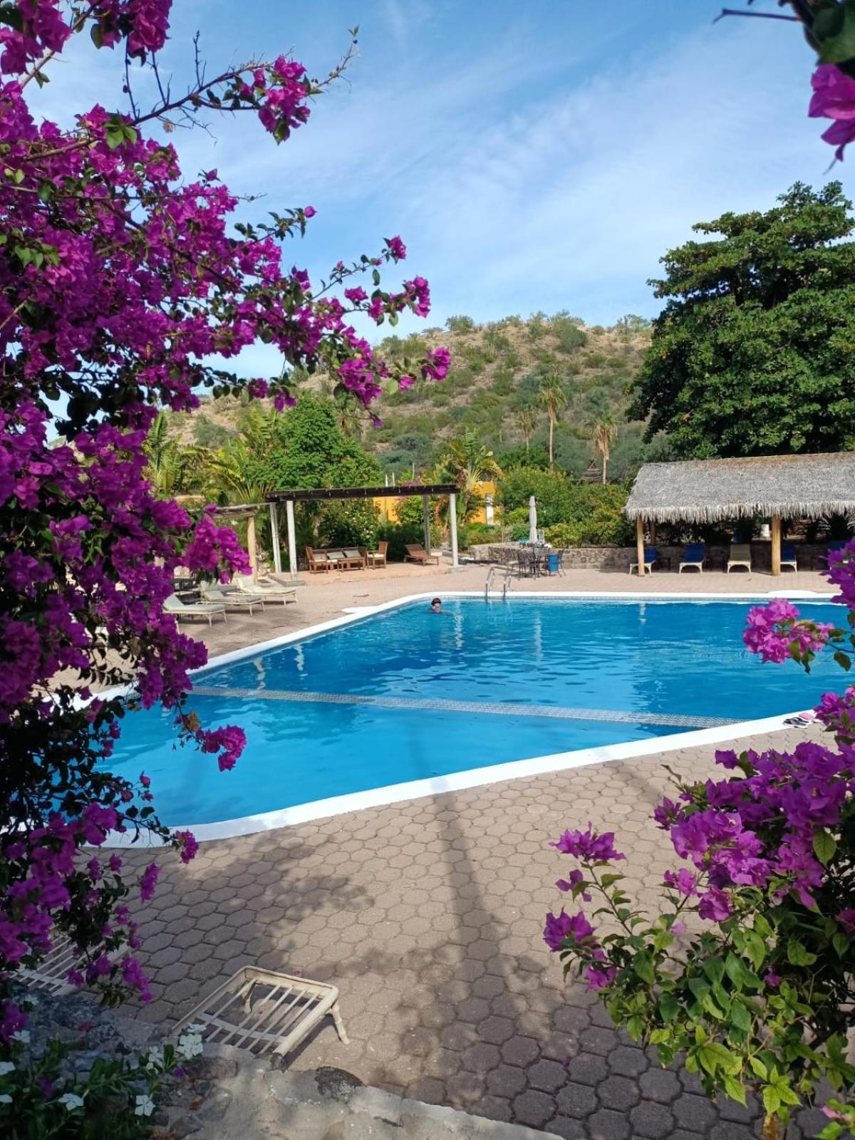 Tripui Hotel Puerto Escondido (Baja California Sur) Exterior foto