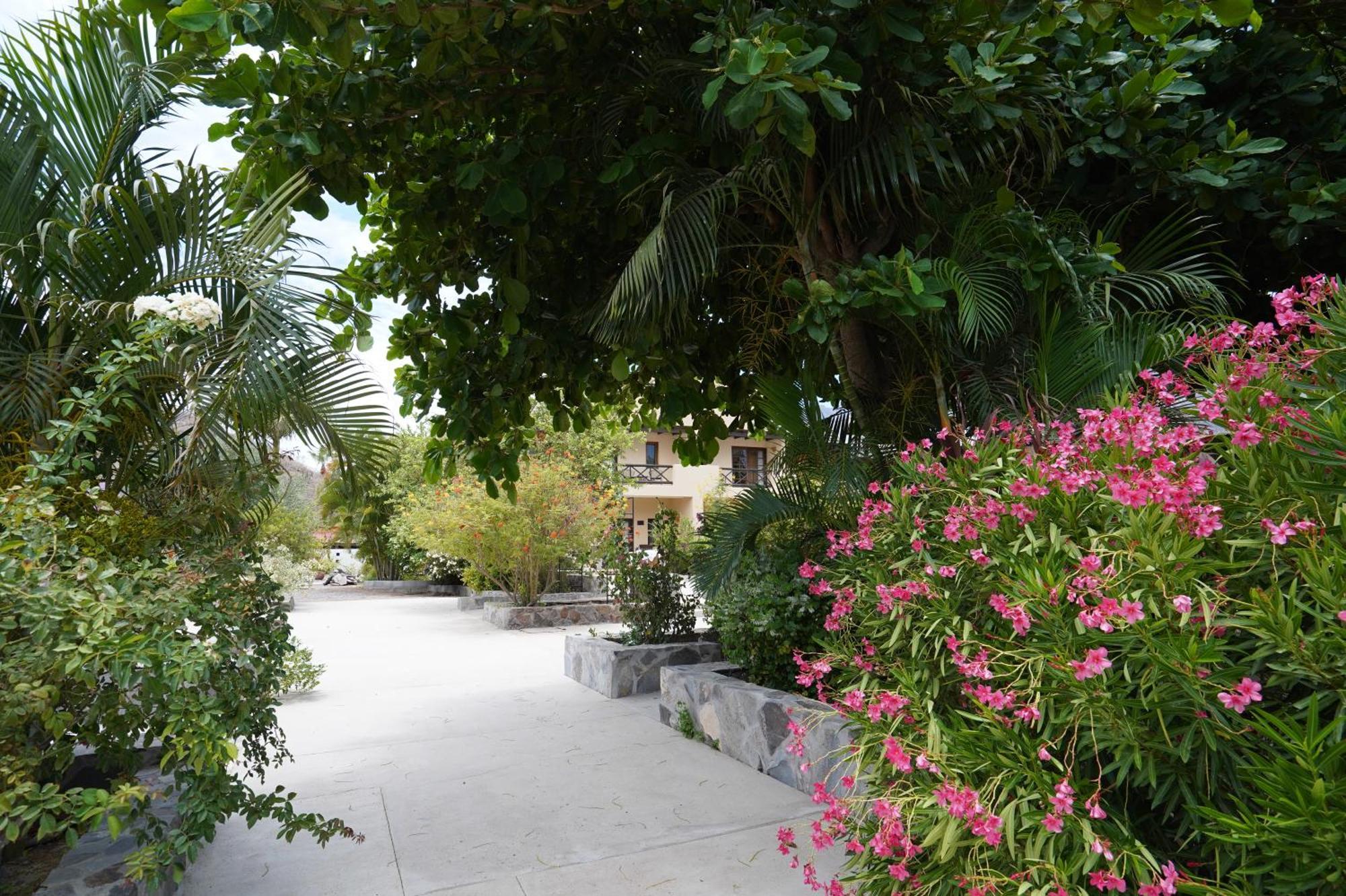 Tripui Hotel Puerto Escondido (Baja California Sur) Exterior foto